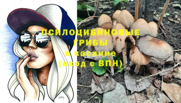 амф Вязники