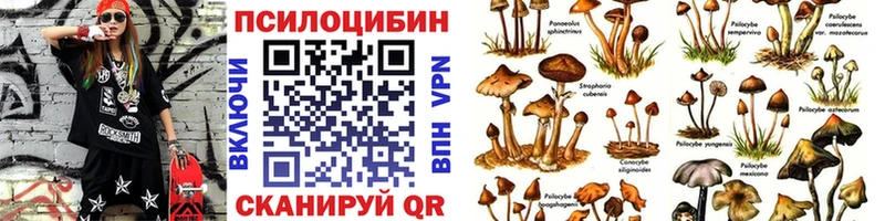 Галлюциногенные грибы GOLDEN TEACHER Мосальск